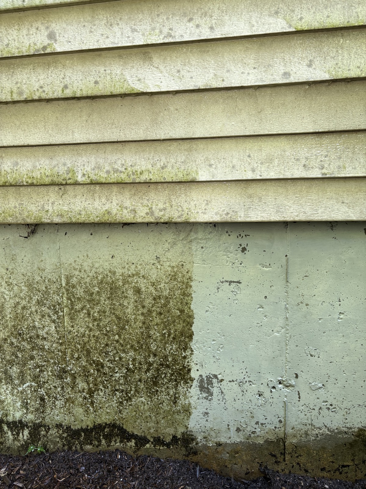 Siding and foundation mid-cleaning, showing the dramatic difference between the washed and unwashed sides