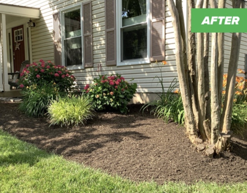 Flower bed after a JLS yard cleanup — weeds removed and fresh mulch installed
